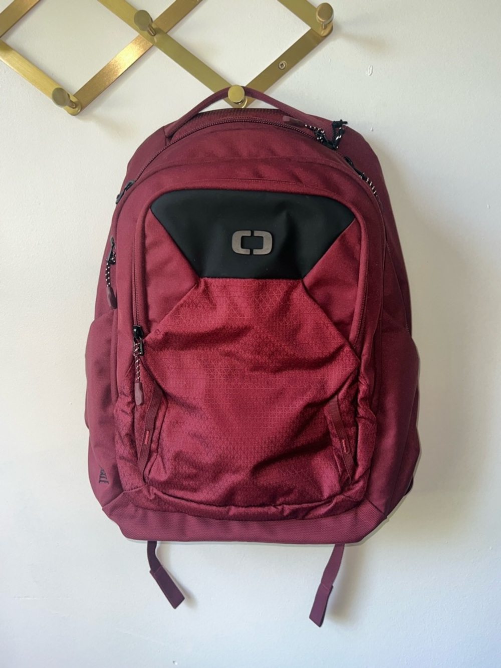 OGIO Axel Pro 22L Backpack